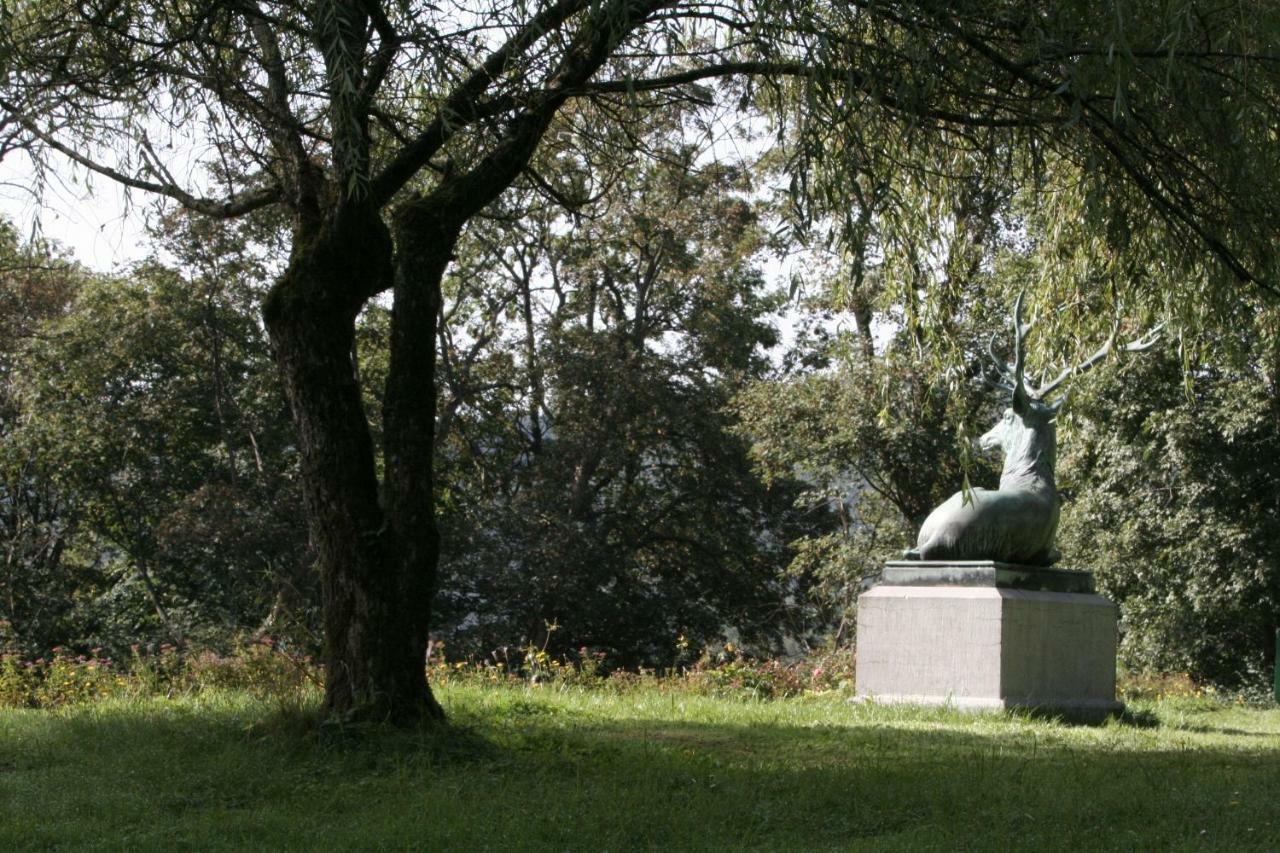 Schloss Wittgenstein Apartment Bad Laasphe Bagian luar foto