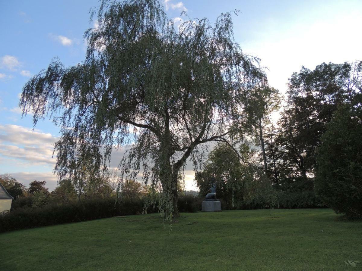 Schloss Wittgenstein Apartment Bad Laasphe Bagian luar foto